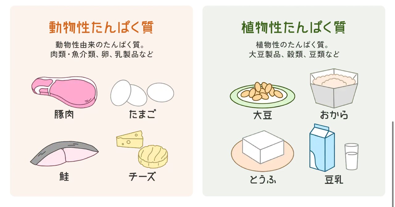 育乳飯(^ ^)栄養しっかり摂ってバストアップ♪
